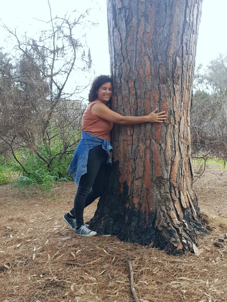 עץ אורן, חיבוק עץ, מחבקת עצים, לחבק עץ, טבע תרפיה 